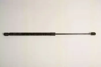 triscan-871011232