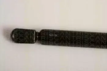 triscan-871011232