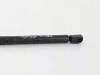 triscan-871011237
