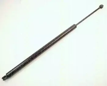 triscan-871013229