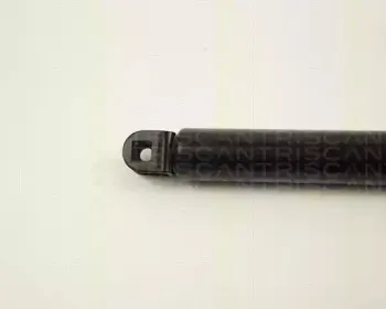 triscan-871013229