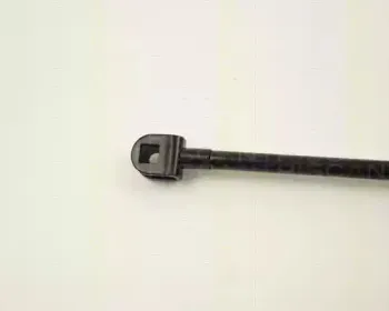 triscan-871013229