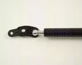 triscan-871013232