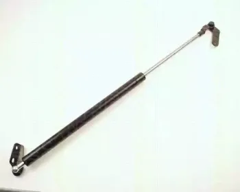 triscan-871013236