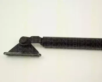triscan-871013239
