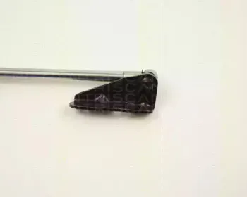 triscan-871013239