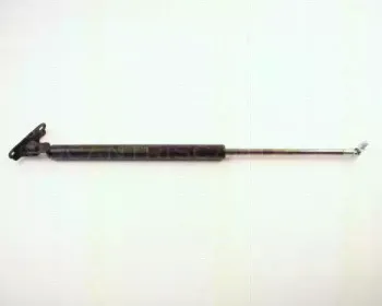 triscan-871013254