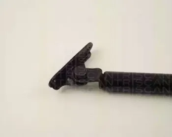triscan-871013254