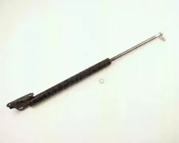 triscan-871013255