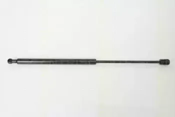 triscan-871013266