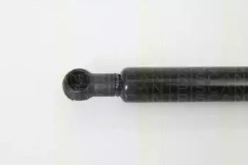 triscan-871013266