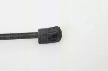 triscan-871013266
