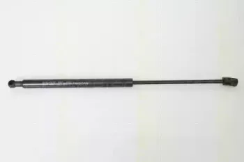 triscan-871013267