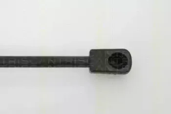 triscan-871013267