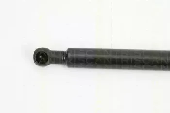 triscan-871013273