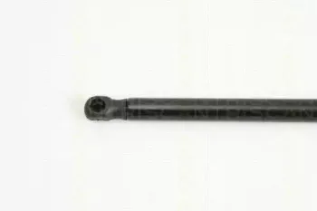 triscan-871013274