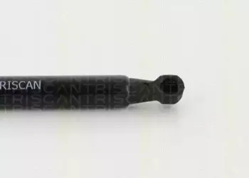 triscan-871013280