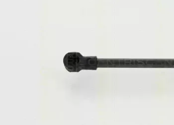 triscan-871013280