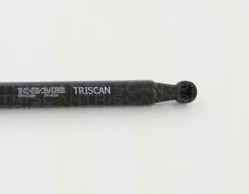 triscan-871013282