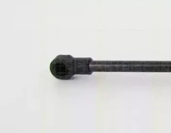 triscan-871013286