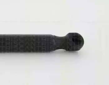triscan-871013286