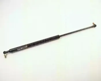 triscan-871014207