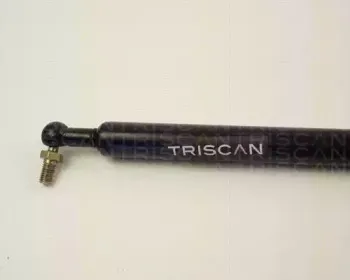 triscan-871014207