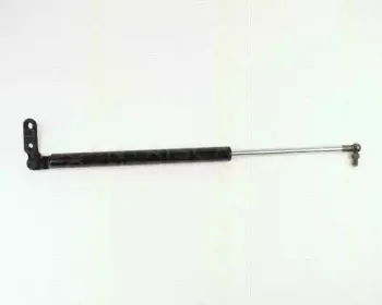 triscan-871014225