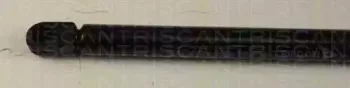 triscan-871014228