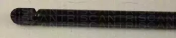 triscan-871014229