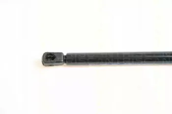 triscan-871014236