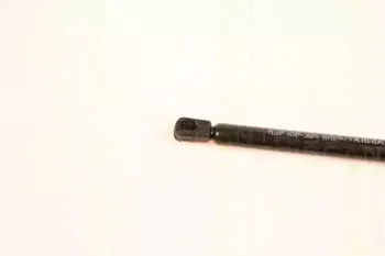triscan-871014239