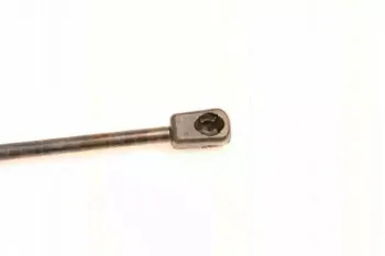 triscan-871014239