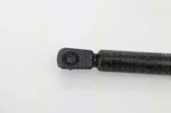 triscan-871014243