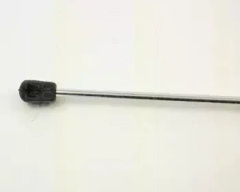 triscan-87101516