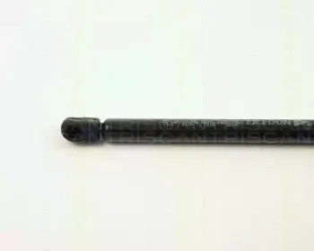 triscan-87101518