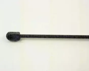 triscan-87101518