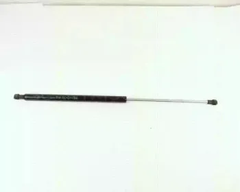 triscan-871015213