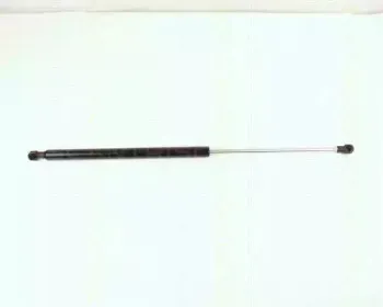 triscan-871015218