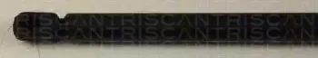 triscan-871015220