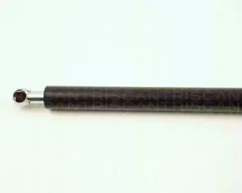 triscan-871015222