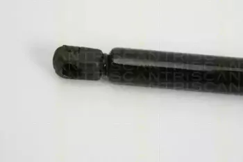 triscan-871015234