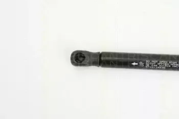 triscan-871015235