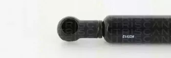 triscan-871015244