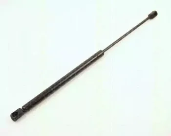 triscan-87101607