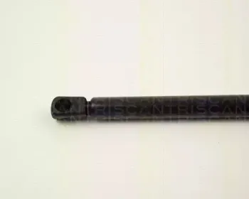 triscan-87101607