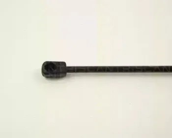 triscan-87101607