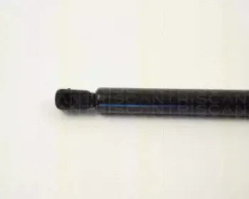 triscan-87101608