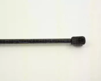 triscan-87101608
