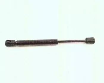 8710 16104 TRISCAN